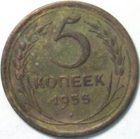 50  1955 